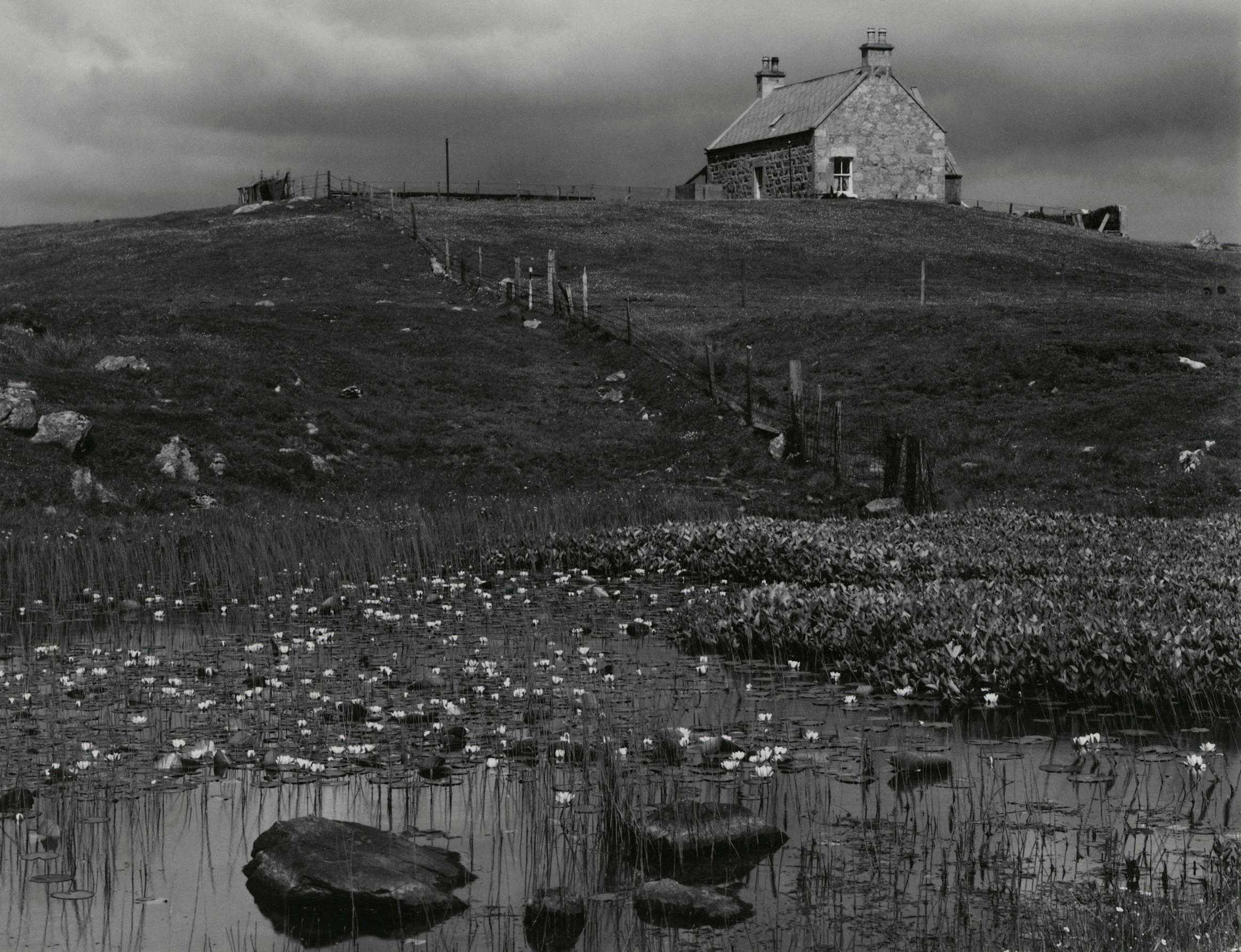 Paul Strand - Lily Pond, South Uist, Hebrides
