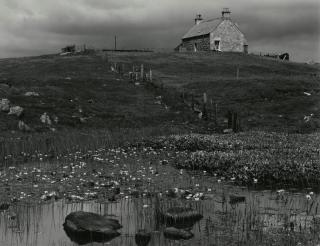 Paul Strand - Lily Pond, South Uist, Hebrides
