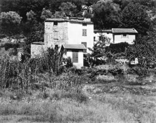 Paul Strand - Untitled (Italian landscape)