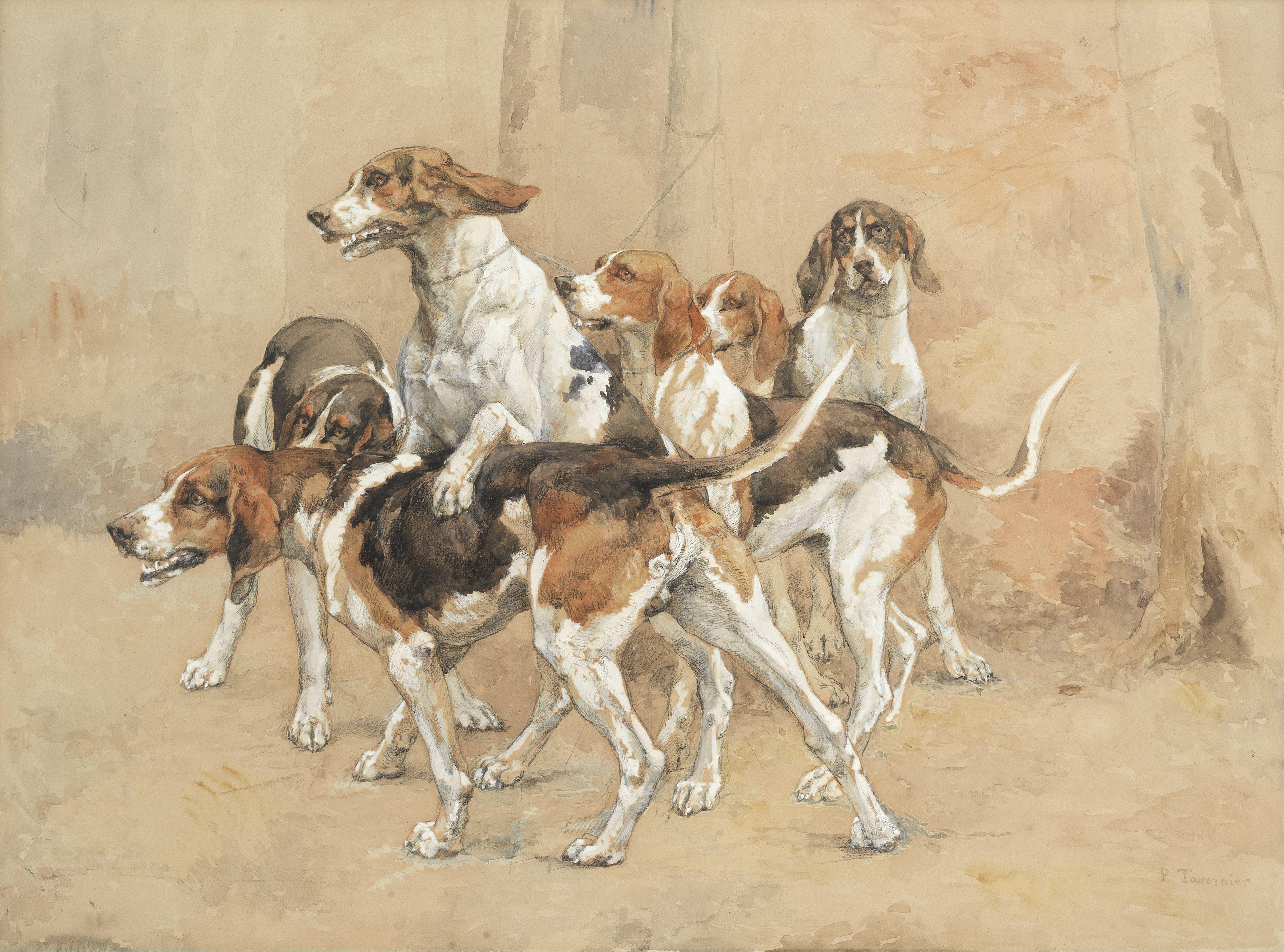 Paul Tavernier - French hunting hounds
