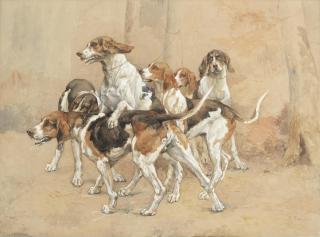 Paul Tavernier - French hunting hounds