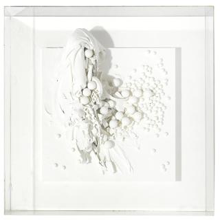 Paul Van Hoeydonck - Space Accident