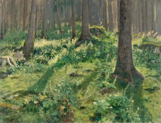 Paul von Ravenstein - Waldinneres