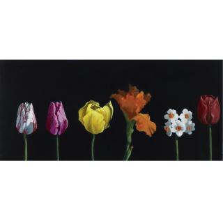 Paul Wonner - Study Of Six Flowers