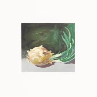 Paul Wonner - Untitled (Onion)