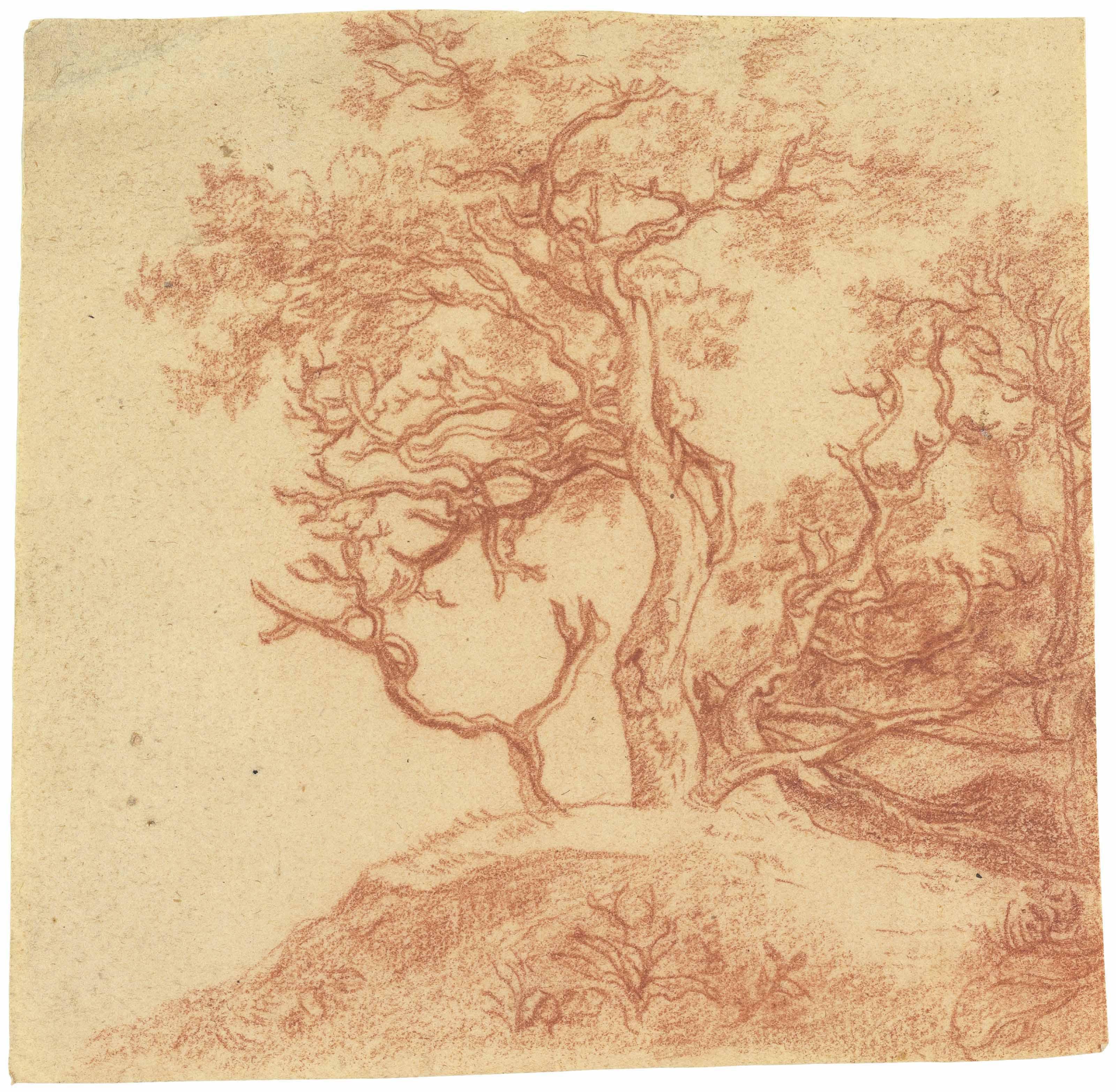 Paulus Potter - A group of trees on a hill