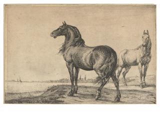 Paulus Potter - Two Plough Horses