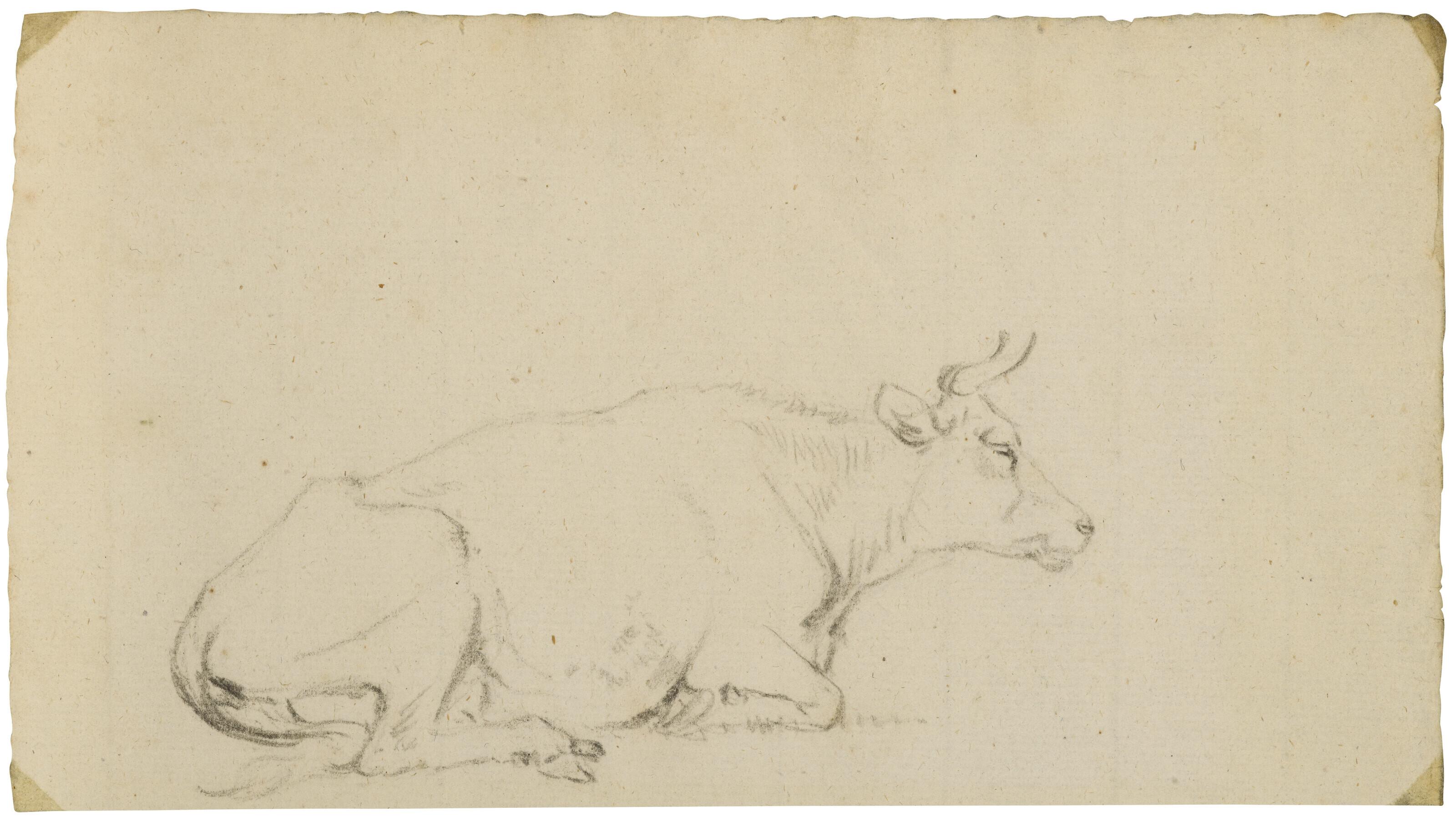 Paulus Potter - Vache Au Repos