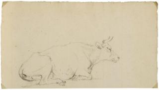 Paulus Potter - Vache Au Repos