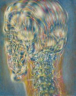 Pavel Tchelitchew - Anatomic Head