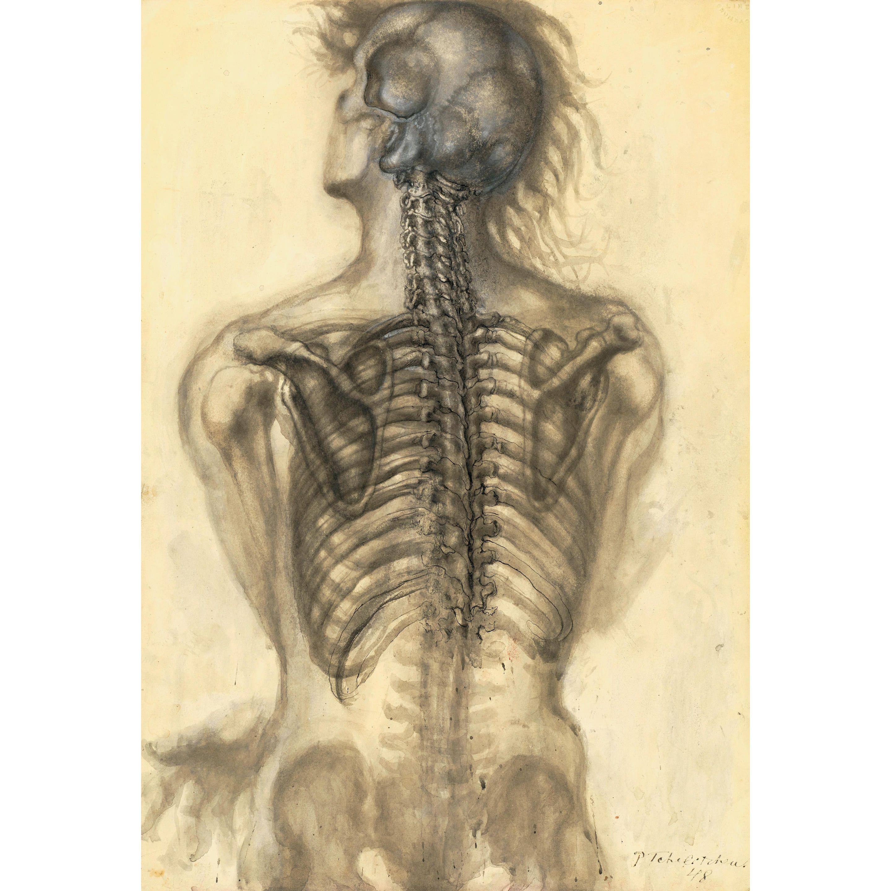 Pavel Tchelitchew - Figure from Behind, Bones Exposed