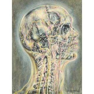 Pavel Tchelitchew - The Living Shell 29 15/16 x 22 1/8 in (76 x 56.2 cm)