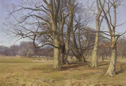 Peder Klitz - Deer grazing in a sunlit wooded landscape