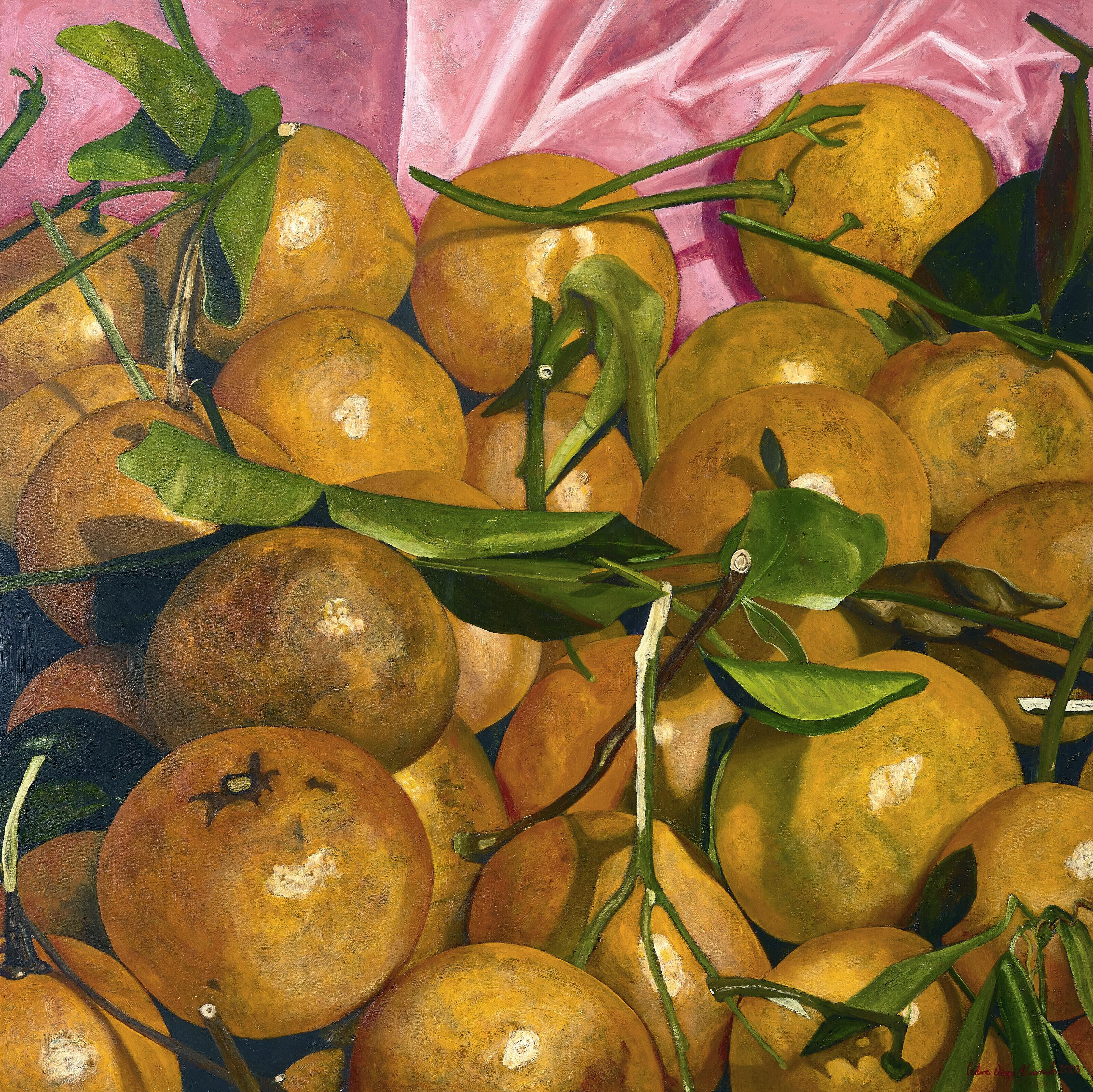 Pedro Diego Alvarado - Mandarinas con fondo rosa