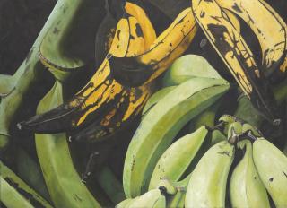 Pedro Diego Alvarado - Plátanos machos