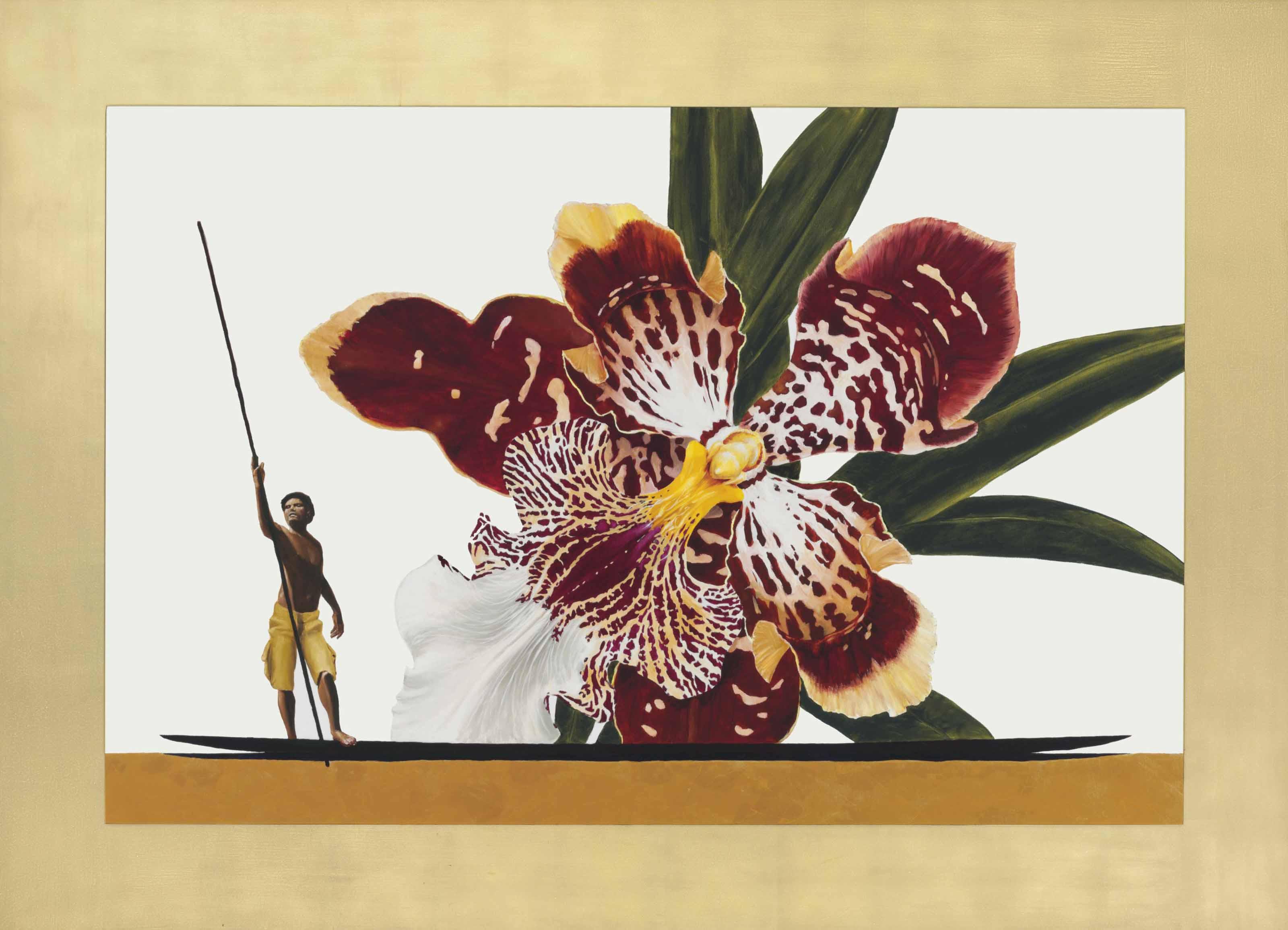 Pedro Ruiz - Odontoglossum Harryanum