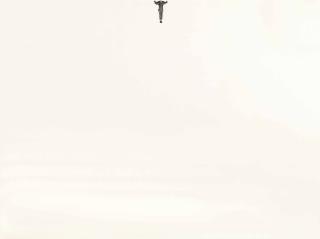 Peggy Preheim - Grass Ceiling