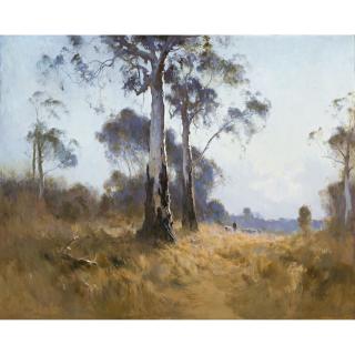 Penleigh Boyd - Australian Ghost Gum At Kangaroo Flat