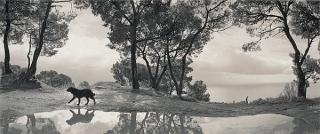 Pentti Sammallahti - \