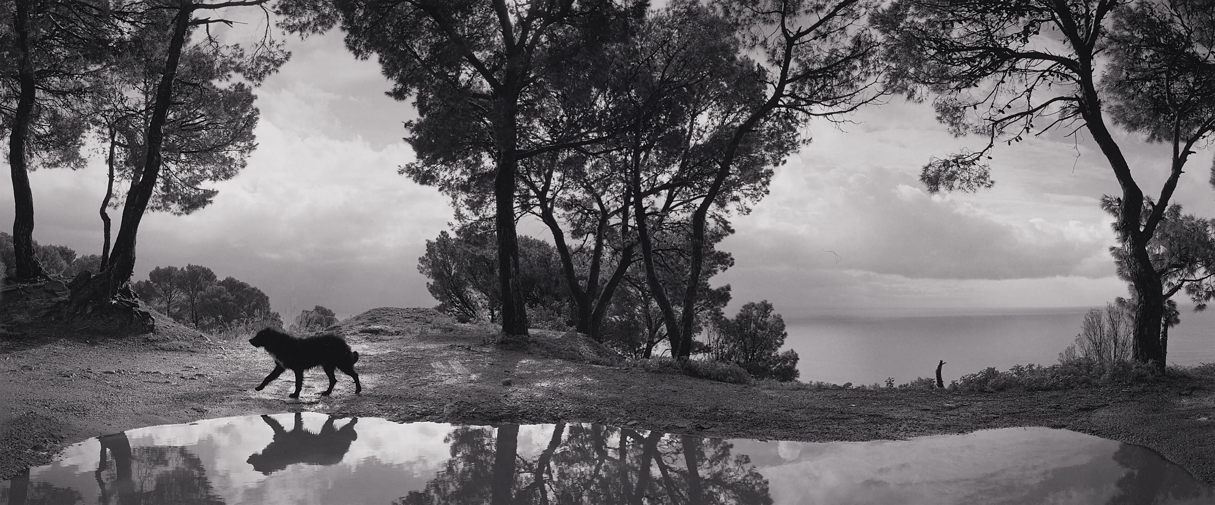 Pentti Sammallahti - Cilento, Italien