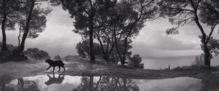 Pentti Sammallahti - Cilento, Italien