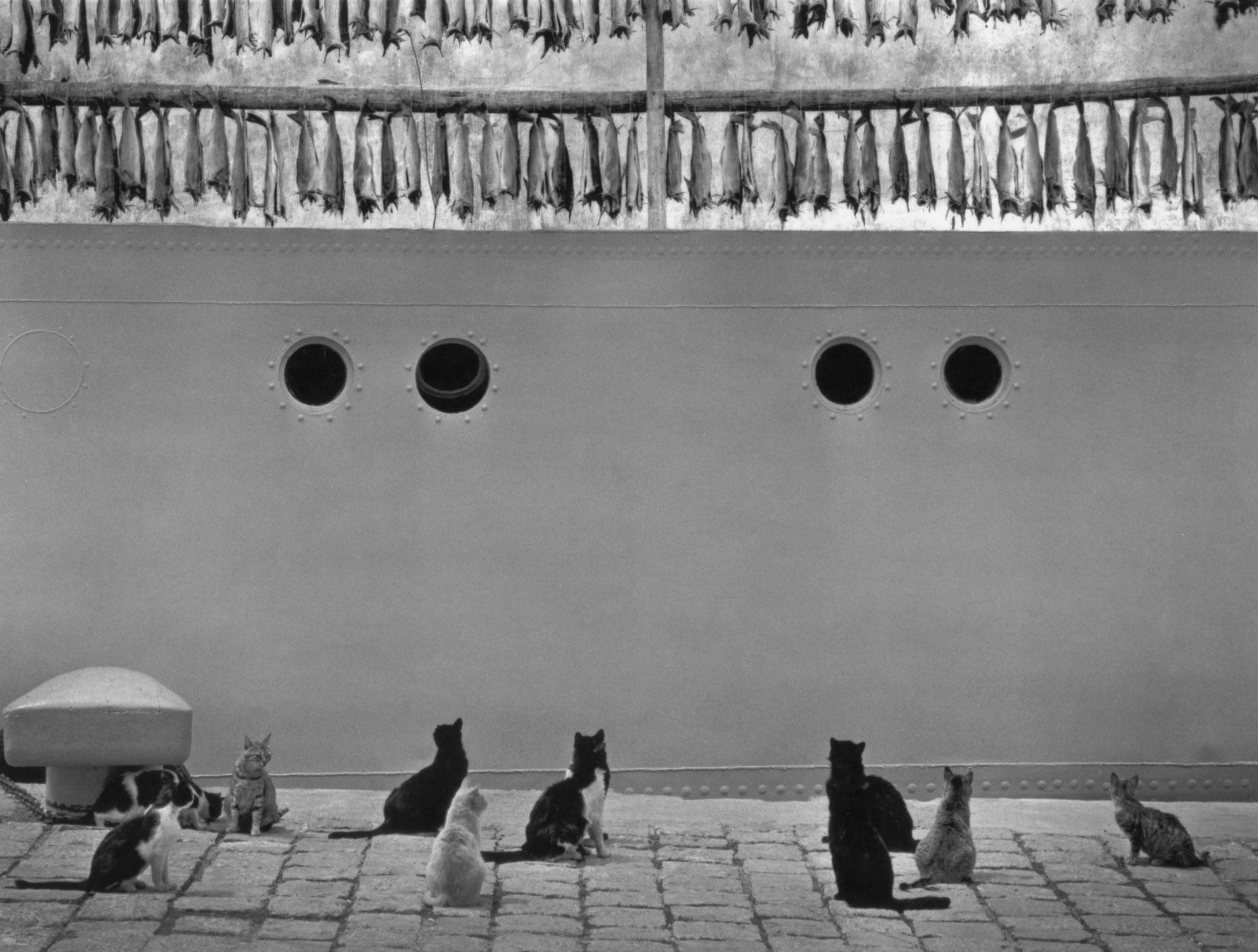 Pentti Sammallahti - Iceland