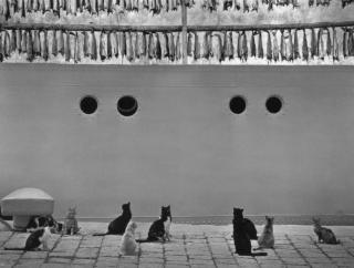 Pentti Sammallahti - Iceland