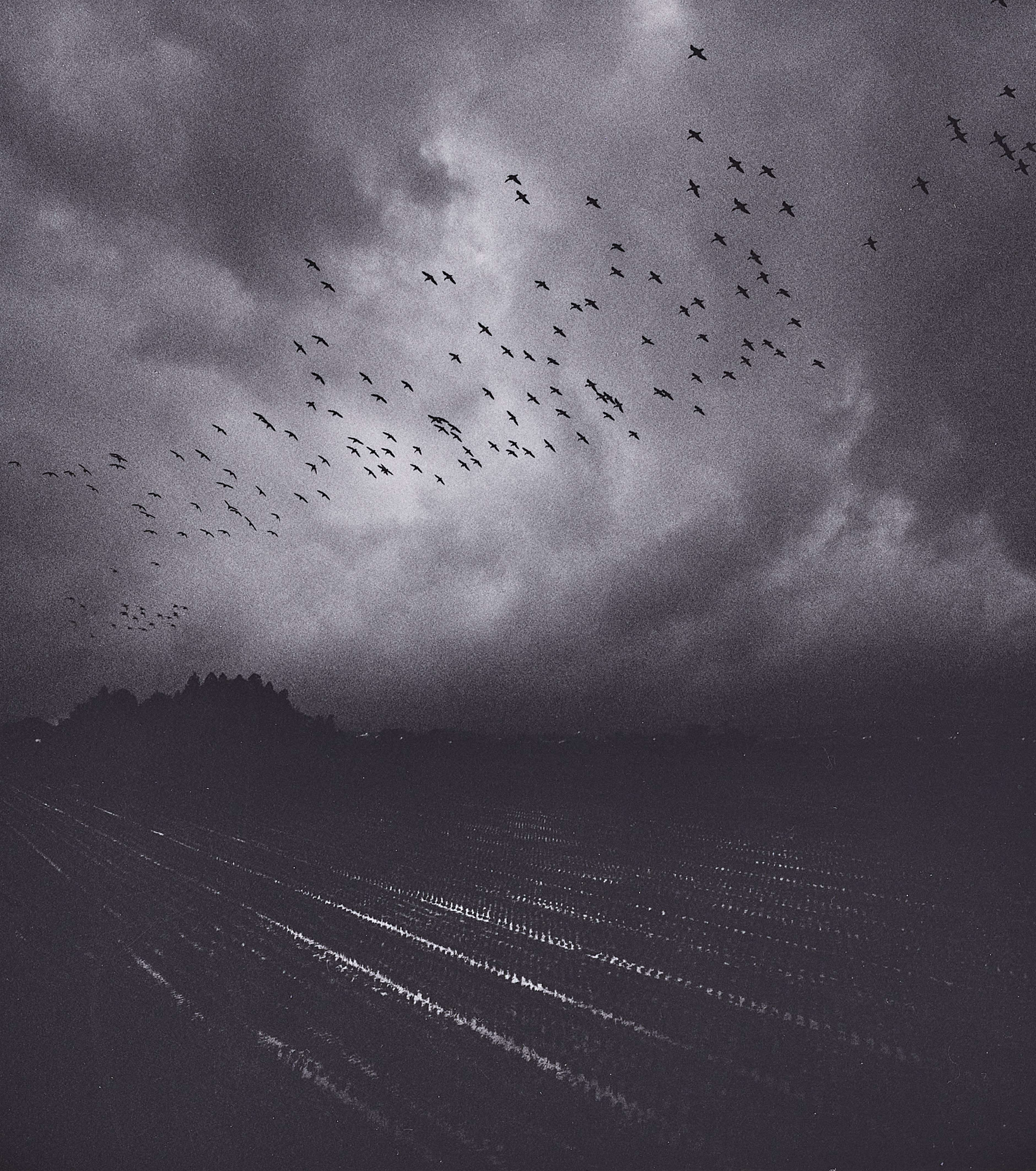 Pentti Sammallahti - Koriyama Shi, Fukushima, Japan