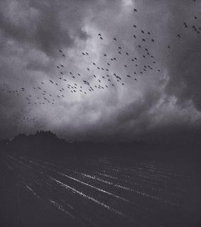 Pentti Sammallahti - Koriyama Shi, Fukushima, Japan
