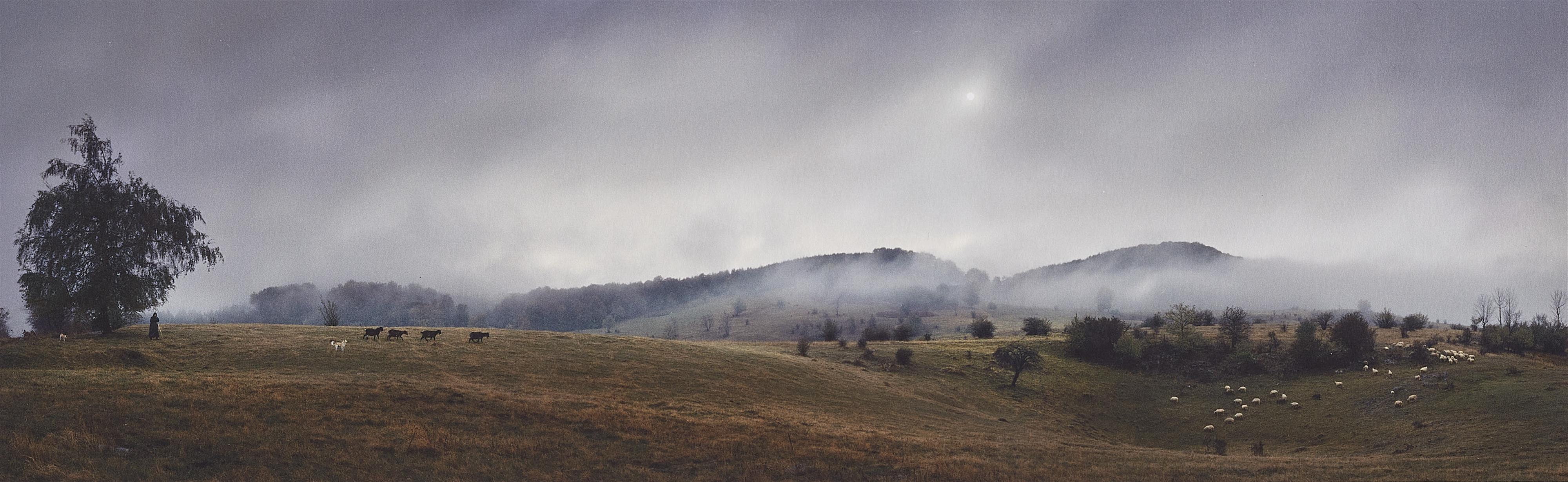 Pentti Sammallahti - Ohne Titel