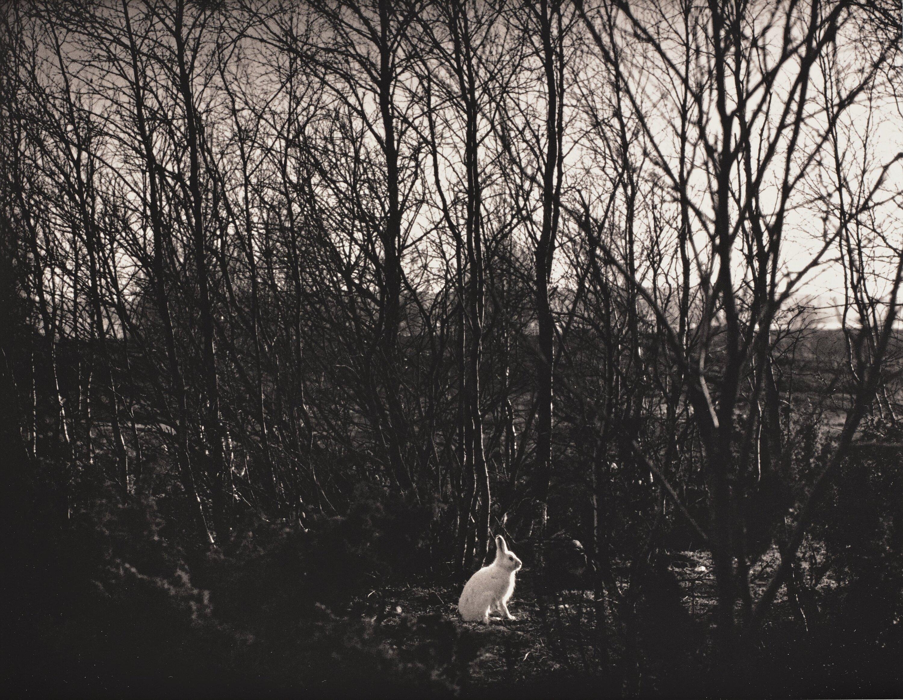 Pentti Sammallahti - Untitled, 1974