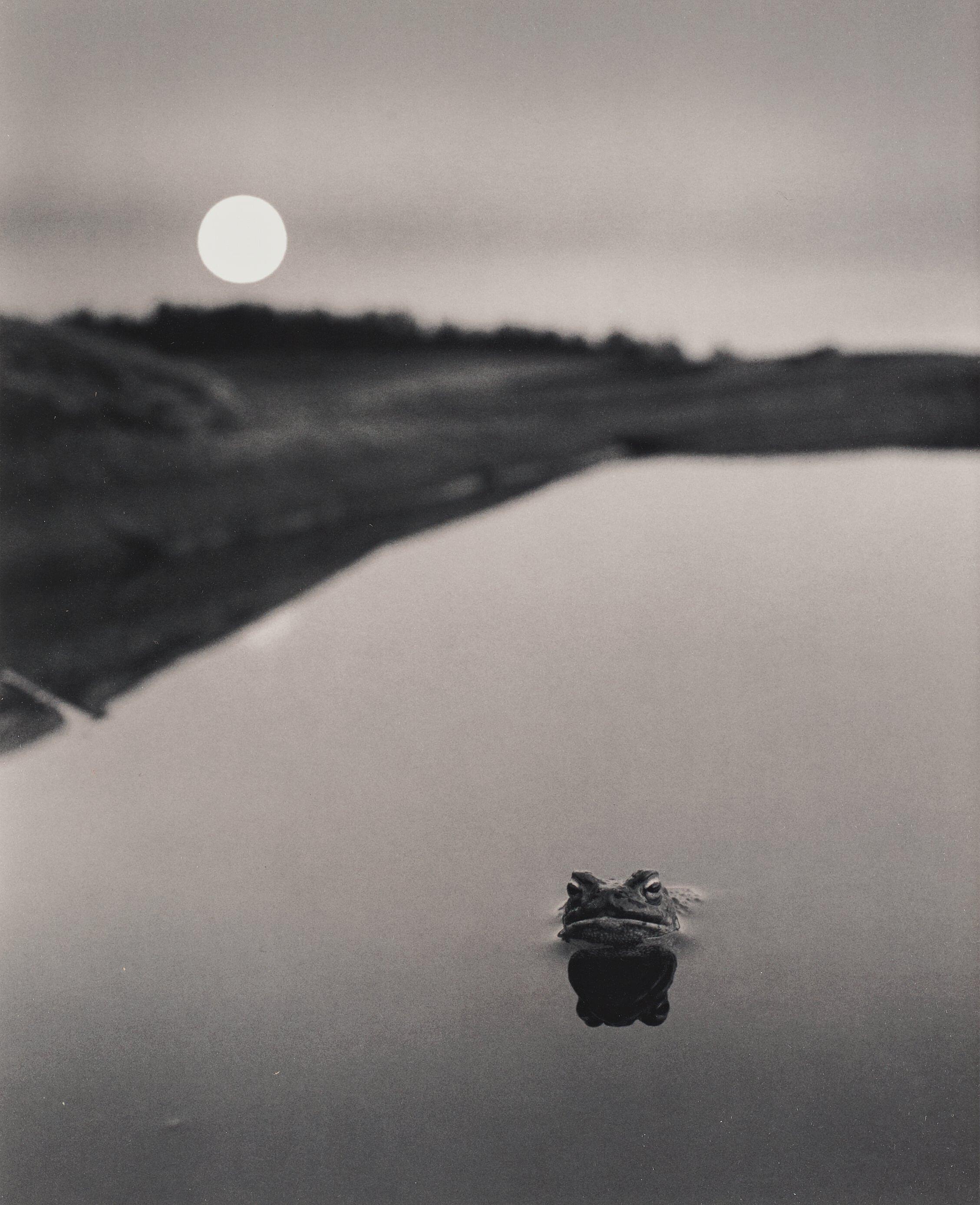 Pentti Sammallahti - Untitled, 1974