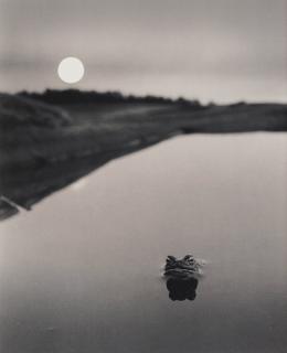 Pentti Sammallahti - Untitled, 1974
