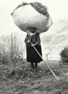 Pepi Merisio - \'Fienagione A Cogne, Aosta\', 1959
