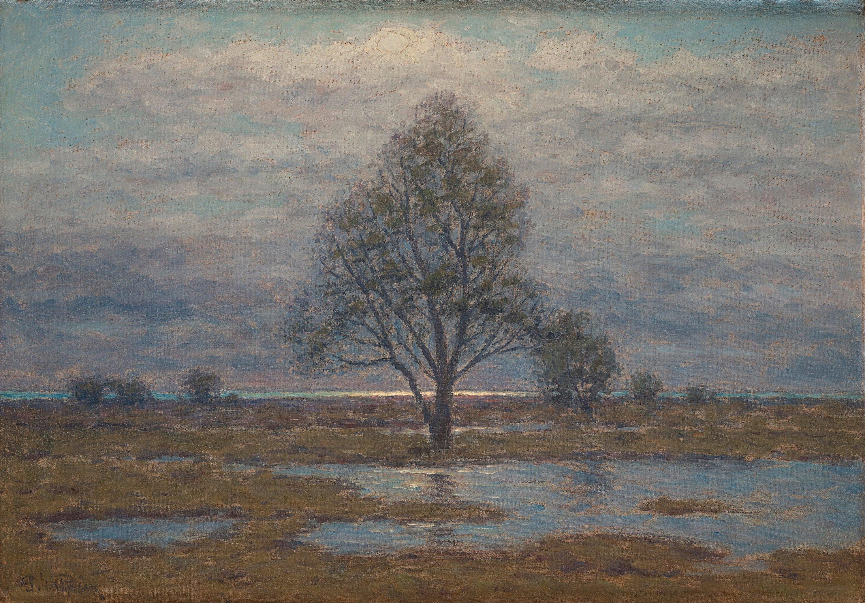 Per Ekström - Landscape in Haze