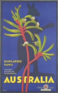 Percival Albert Trompf - Australia, Kangaroo Paws