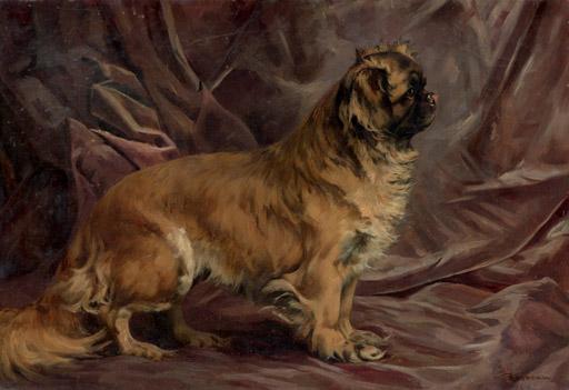 Percival Leonard Rosseau - A Pekingese