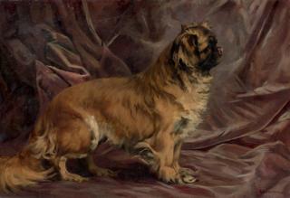 Percival Leonard Rosseau - A Pekingese