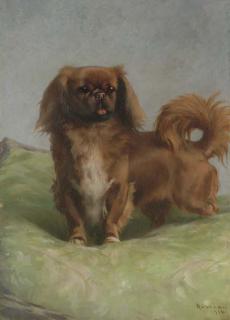 Percival Leonard Rosseau - A Pekingese