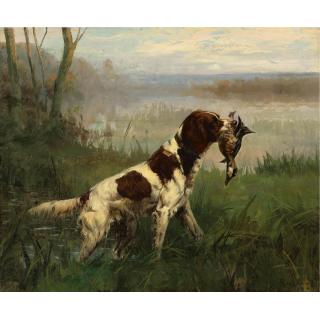 Percival Leonard Rosseau - American Setter And Ruddy Duck