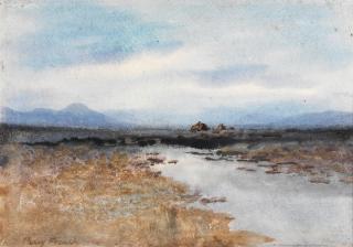 Percy French - Bog landscape