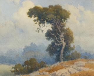 Percy Gray - California Oak