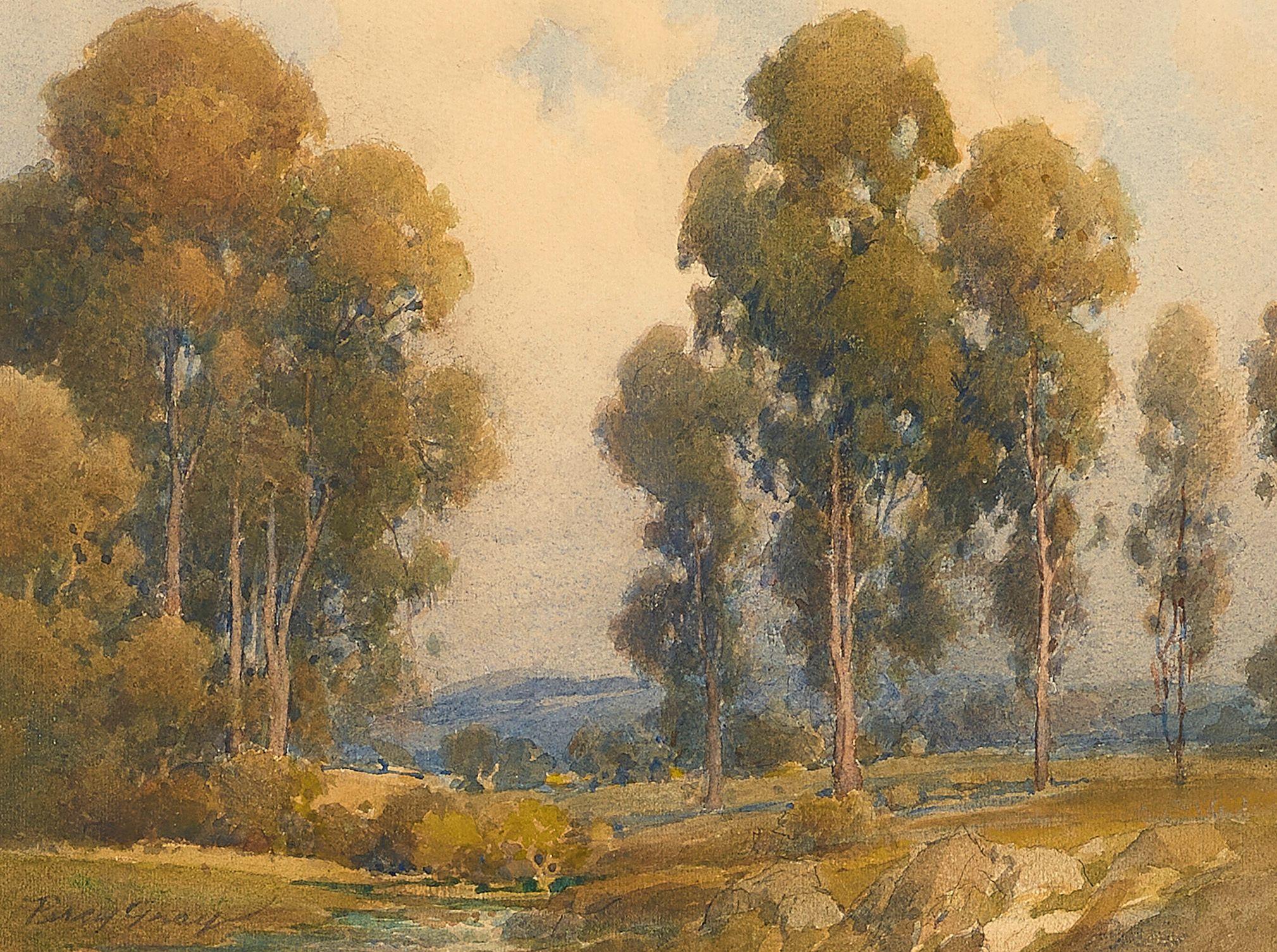 Percy Gray - Eucalyptus Grove