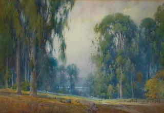Percy Gray - Eucalyptus Scene