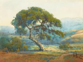 Percy Gray - Lucas Valley Landscape with Wildflowers sight 10 x 13 1/2 in. framed 20 x 23 1/2 in.