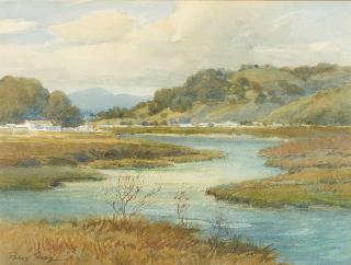 Percy Gray - Marin Marshes