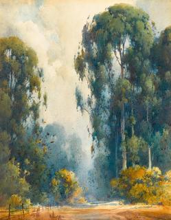 Percy Gray - Morning Fog Lifting Among Eucalyptus Trees