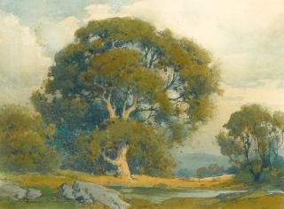 Percy Gray - Oak Tree near water
