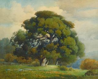 Percy Gray - Oak Tree, Poppy and Lupine