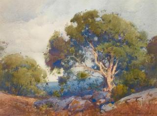 Percy Gray - Oaks Among the Rocks